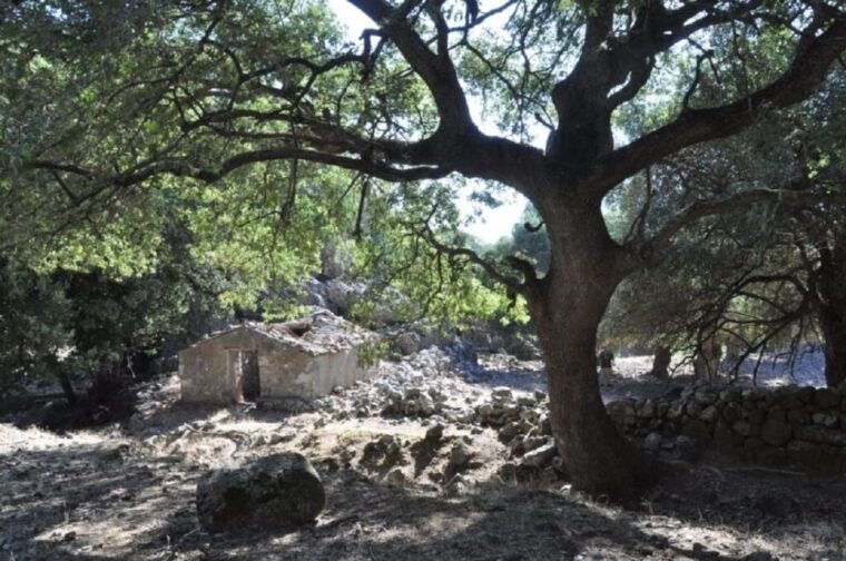 from-rethymno-chania-imbros-gorge-hike