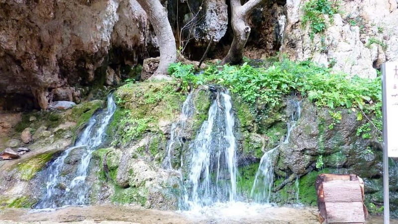 From Rethymno: Cretan Stories - An In-Depth Look at the Itinerary and Experiences