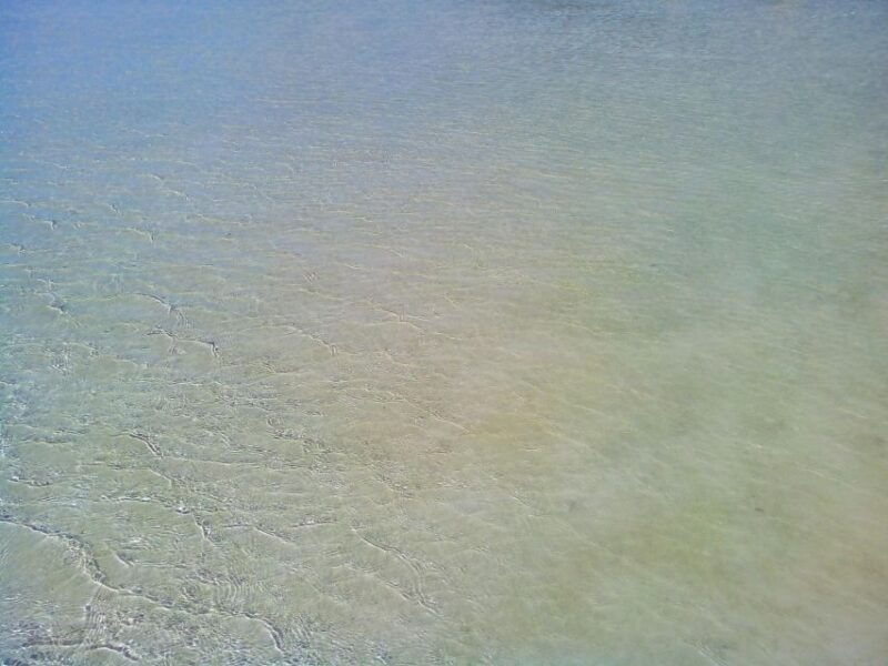 from-rethymno-day-trip-to-elafonisi