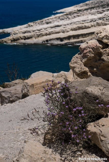 from-rethymno-day-trip-to-matala-ag-galini-spili