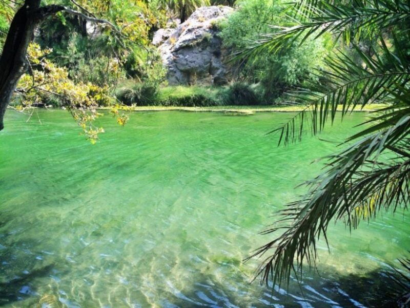 from-rethymno-day-trip-to-preveli-palm-beach-kourtaliotiko