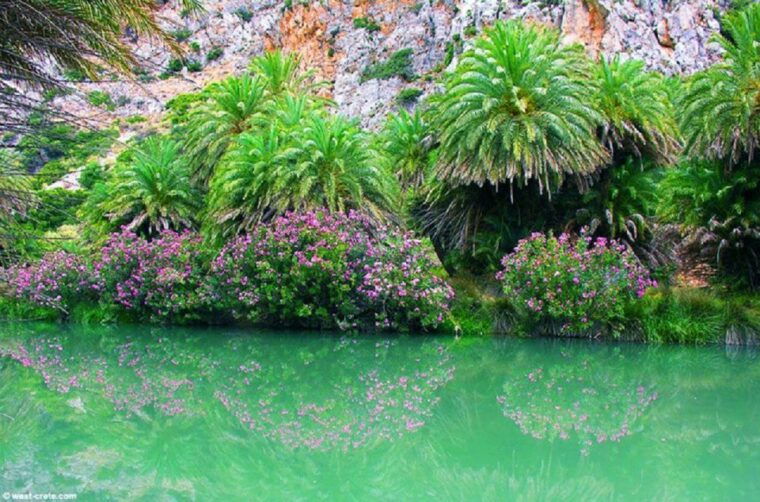 from-rethymno-day-trip-to-preveli-palm-beach-kourtaliotiko