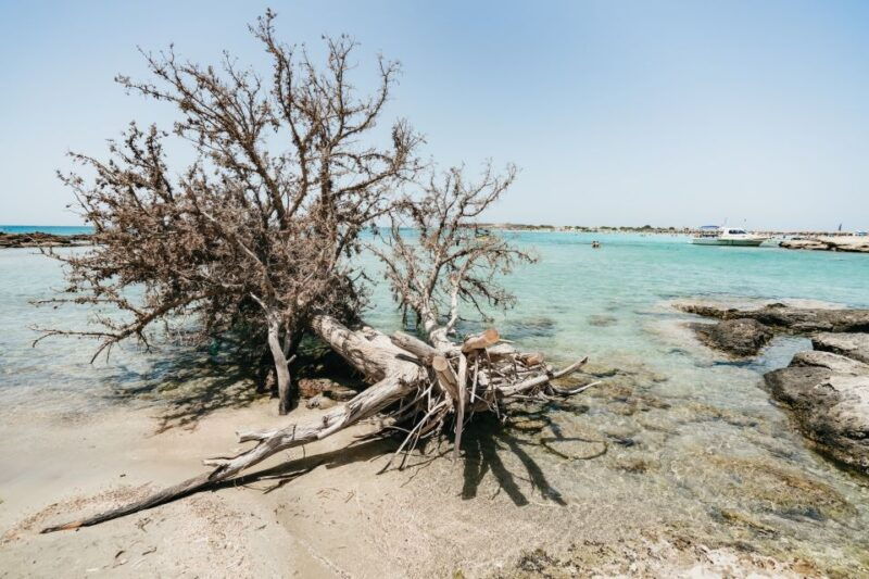 from-rethymno-kavros-elafonissi-pink-sand-beach-tour