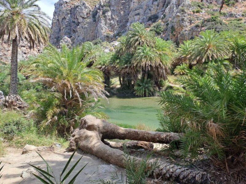 from-rethymno-kourtaliotiko-preveli-palm-beach-damnoni