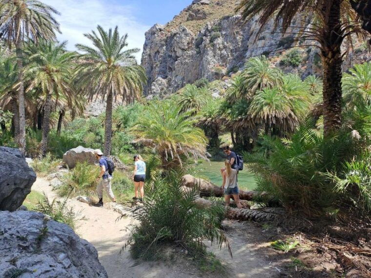 from-rethymno-kourtaliotiko-preveli-palm-beach-damnoni