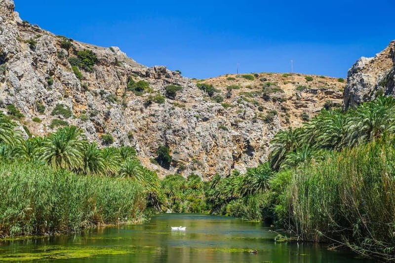From Rethymno: Preveli Palm Forest, Damnoni and Plakias Tour - Key Points