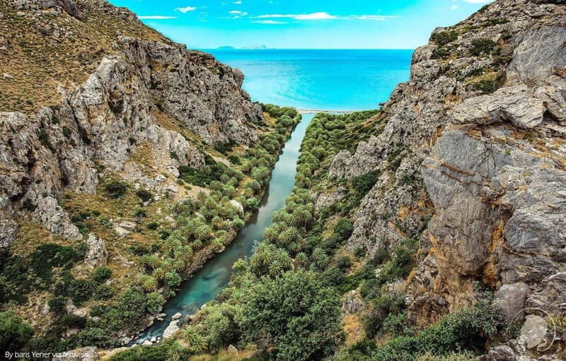 From Rethymno: Preveli Palm Forest, Damnoni and Plakias Tour - The Experience from Reviews