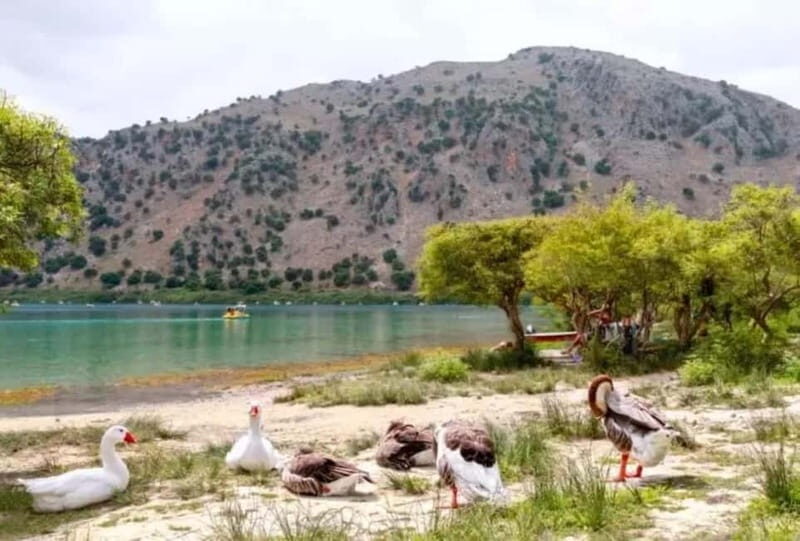 From Rethymno: Souda Bay Boat Tour with Lake Kournas Stop - Authentic Experiences & Traveler Insights