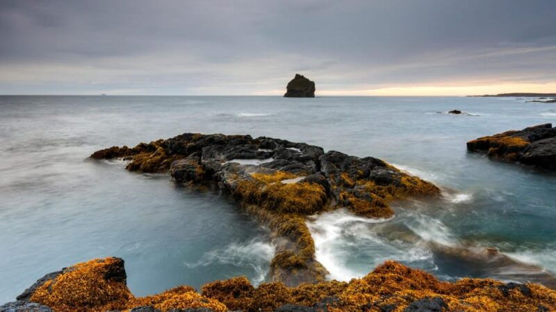 from-reykjavik-blue-lagoon-and-reykjanes-peninsula-tour