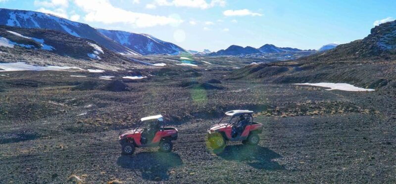 from-reykjavik-buggy-whale-watching-adventure