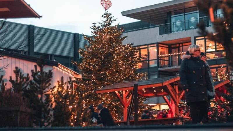 From Reykjavík: Christmas Market and Yule Lads Driving Tour - Final Thoughts: Who Is This Tour Best For?
