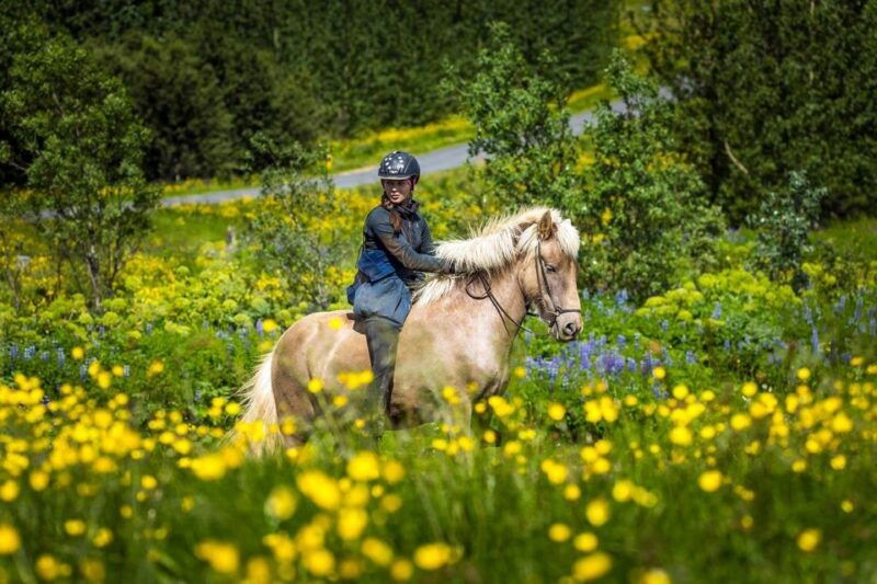 from-reykjavik-full-day-horse-riding-golden-circle-tour