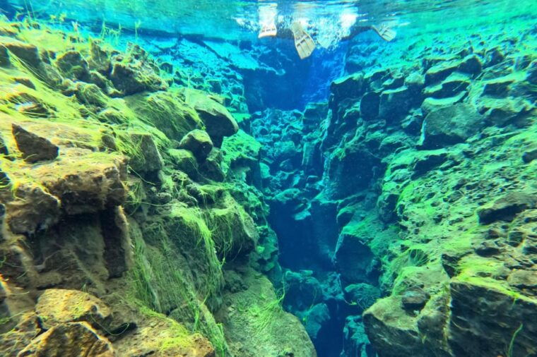 from-reykjavik-golden-circle-tour-and-silfra-snorkeling