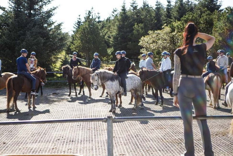 From Reykjavík: Icelandic Horse Riding Tour in Lava Fields - Weather and What to Wear