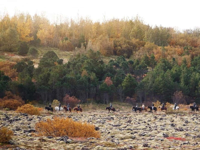 From Reykjavík: Icelandic Horse Riding Tour in Lava Fields - Pricing and Value for Money