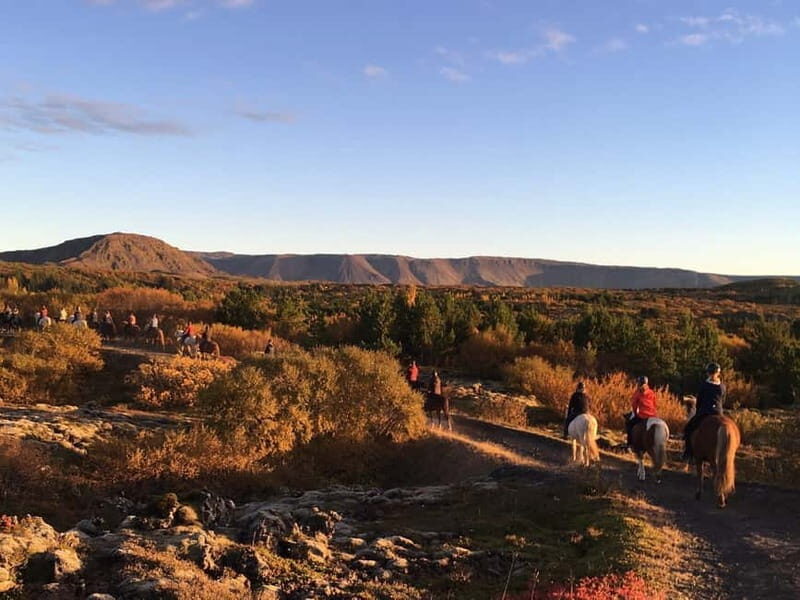 From Reykjavík: Icelandic Horse Riding Tour in Lava Fields - Who Will Love This Tour?