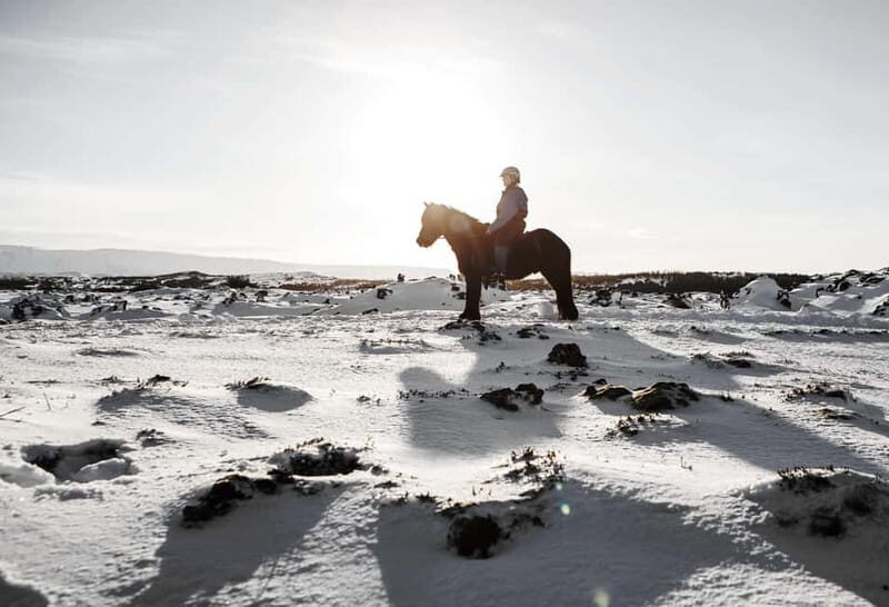 From Reykjavík: Icelandic Horse Riding Tour in Lava Fields - Frequently Asked Questions
