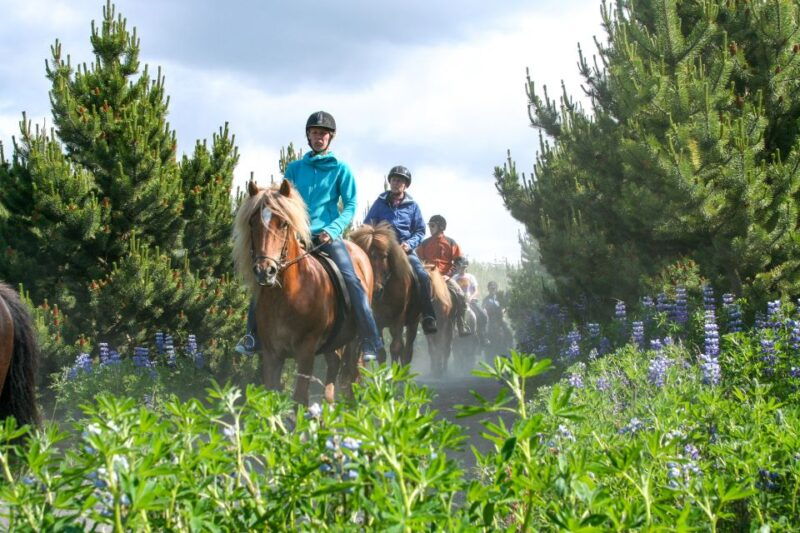from-reykjavik-icelandic-horse-riding-tour-in-lava-fields