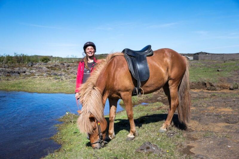 from-reykjavik-icelandic-horse-riding-tour-in-lava-fields