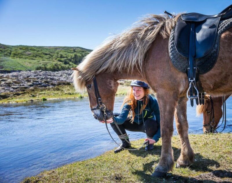 from-reykjavik-icelandic-horse-riding-tour-in-lava-fields