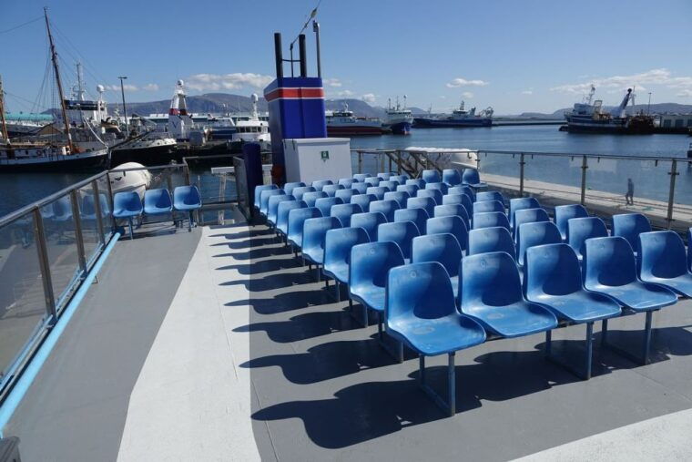 from-reykjavik-northern-lights-sightseeing-cruise