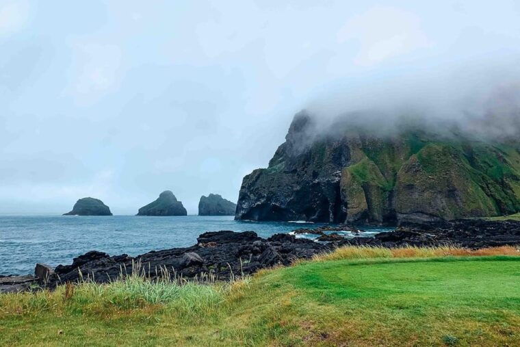 from-reykjavik-puffin-and-volcano-tour-in-westman-islands