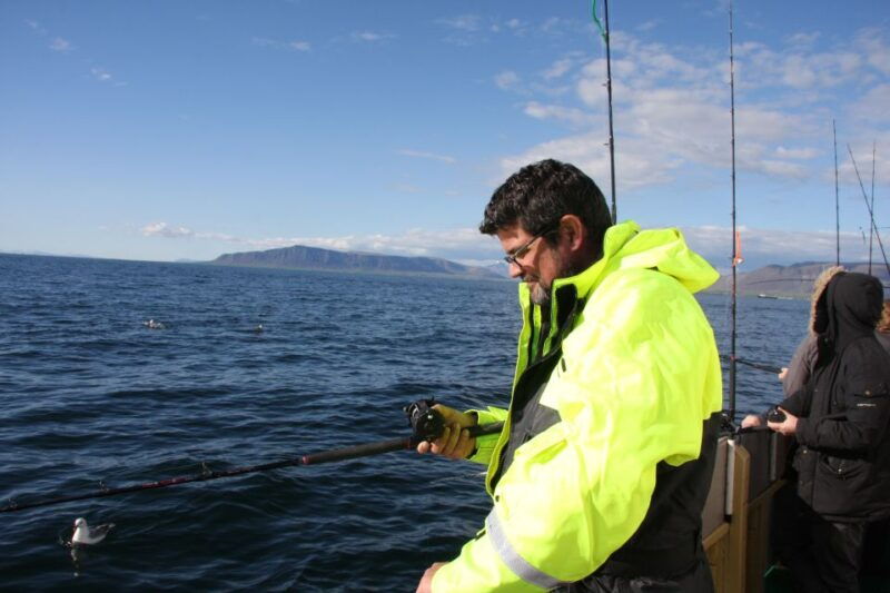 from-reykjavik-sea-fishing-gourmet-tour