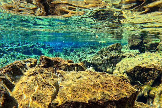 from-reykjavik-silfra-snorkeling-transfer-included