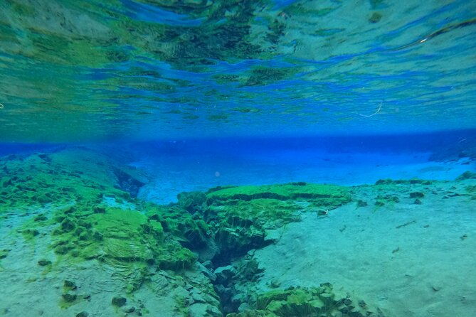 from-reykjavik-silfra-snorkeling-transfer-included