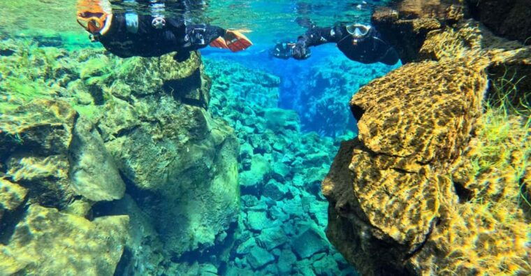 from-reykjavik-silfra-snorkeling-with-free-photos