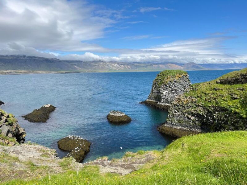 from-reykjavik-snaefellsnes-full-day-tour-with-homemade-meal