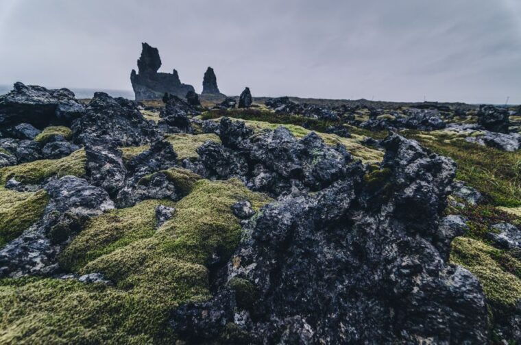 from-reykjavik-snaefellsnes-full-day-tour-with-homemade-meal