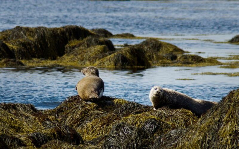 from-reykjavik-snaefellsnes-national-park-small-group