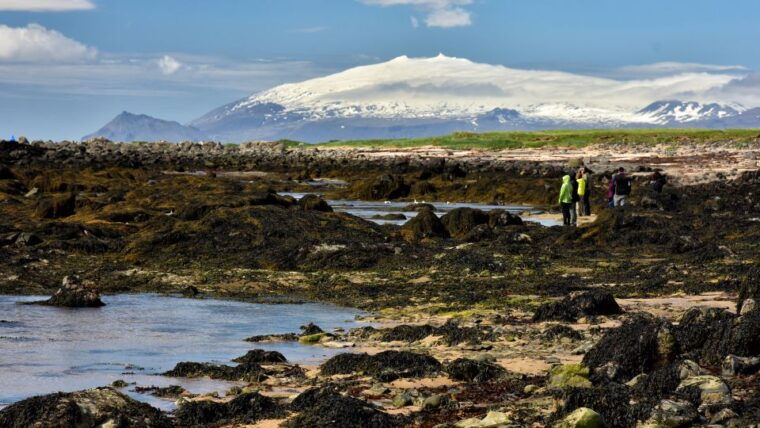from-reykjavik-snaefellsnes-national-park-small-group