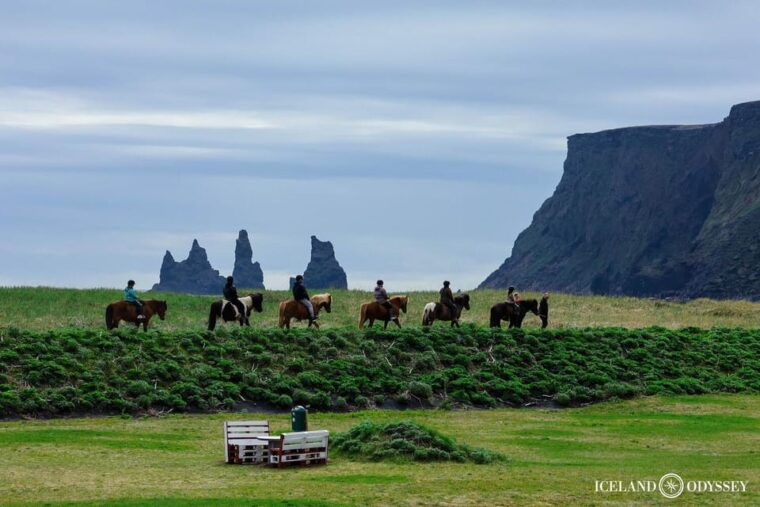 from-reykjavik-south-coast-and-glacier-hiking-private-tour