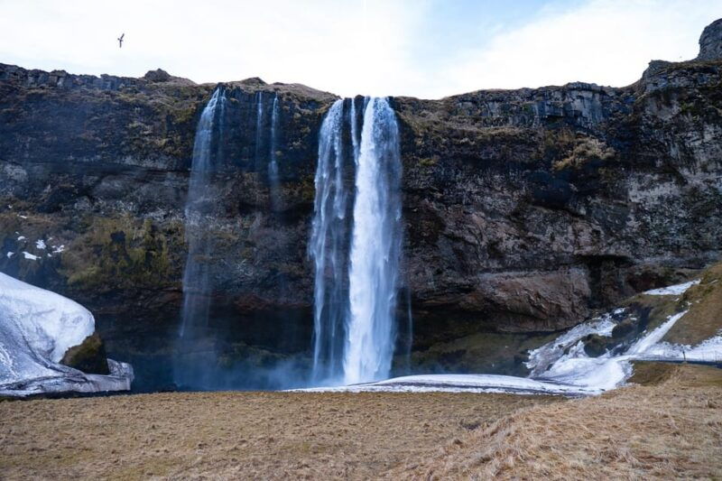 from-reykjavik-south-coast-small-group-tour