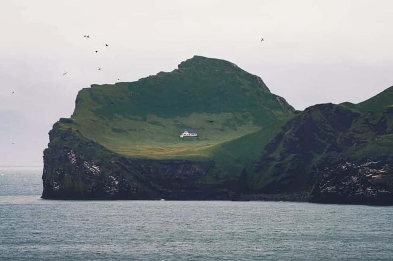From Reykjavik: Vestmannaeyjar Islands Day Trip - Why This Tour Stands Out