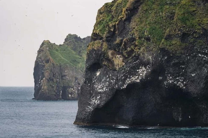 From Reykjavik: Vestmannaeyjar Islands Day Trip - The Itinerary Breakdown