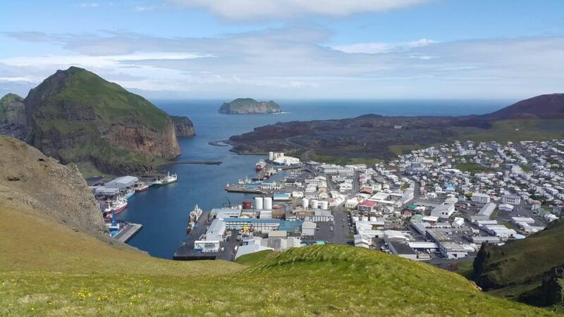 from-reykjavik-vestmannaeyjar-private-tour
