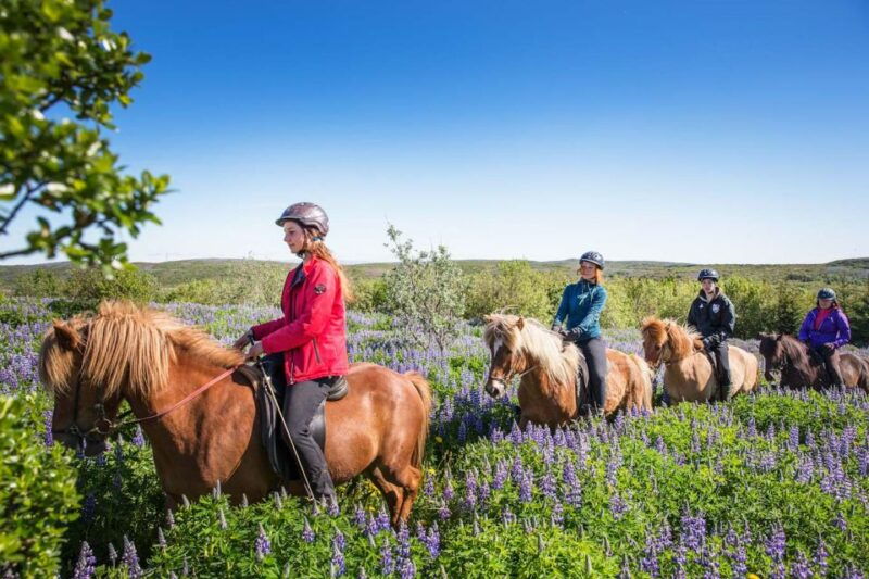 from-reykjavik-viking-horseback-tour-in-hafnarfjordur
