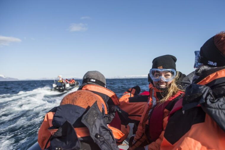 from-reykjavik-whale-and-puffin-watching-rib-boat-tour