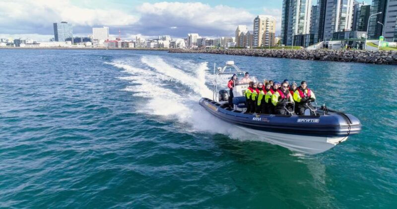 from-reykjavik-whale-watching-tour-by-speedboat