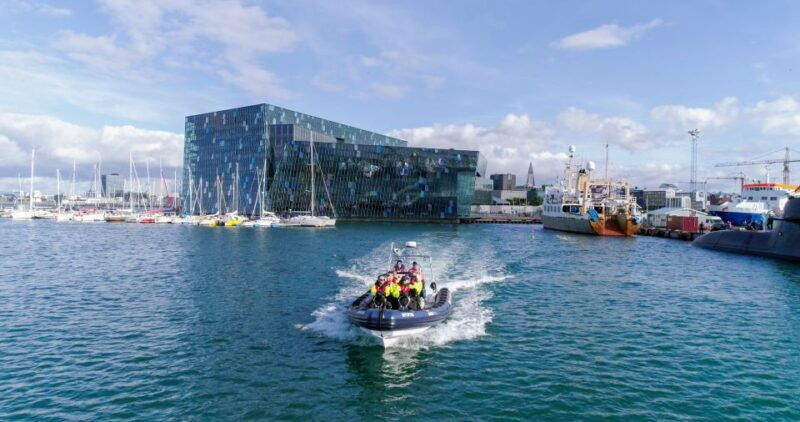 from-reykjavik-whale-watching-tour-by-speedboat