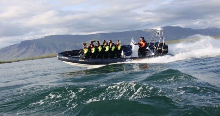 from-reykjavik-whale-watching-tour-by-speedboat