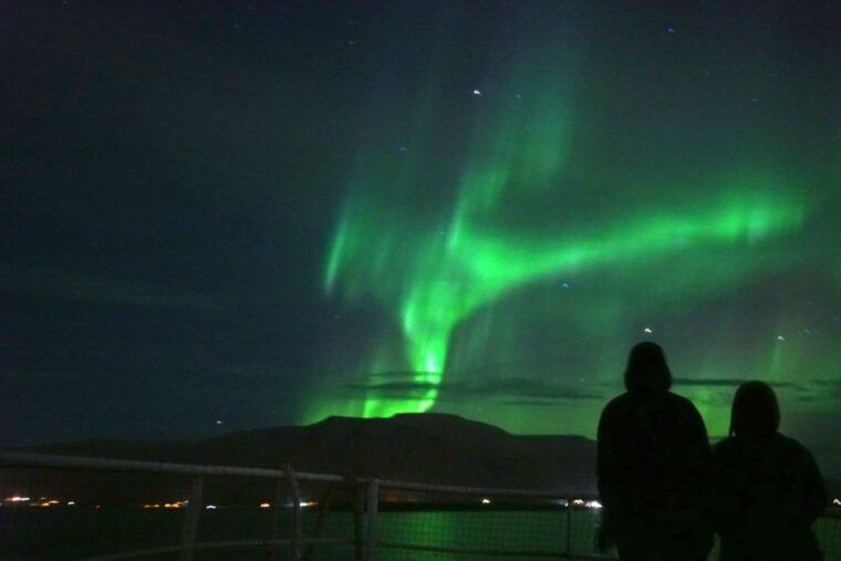 from-reykjavik-whales-and-northern-lights-boat-tour
