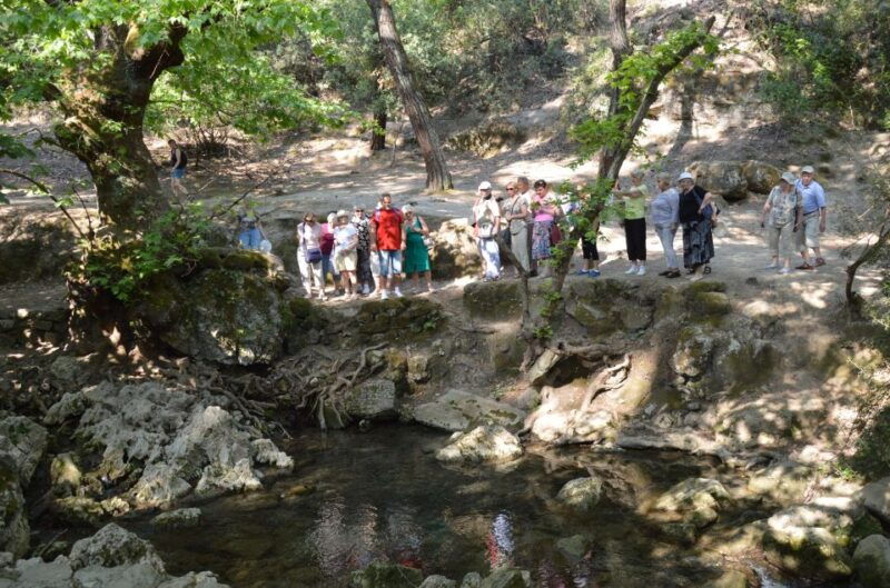 from-rhodes-bus-tour-to-lindos-and-the-seven-springs