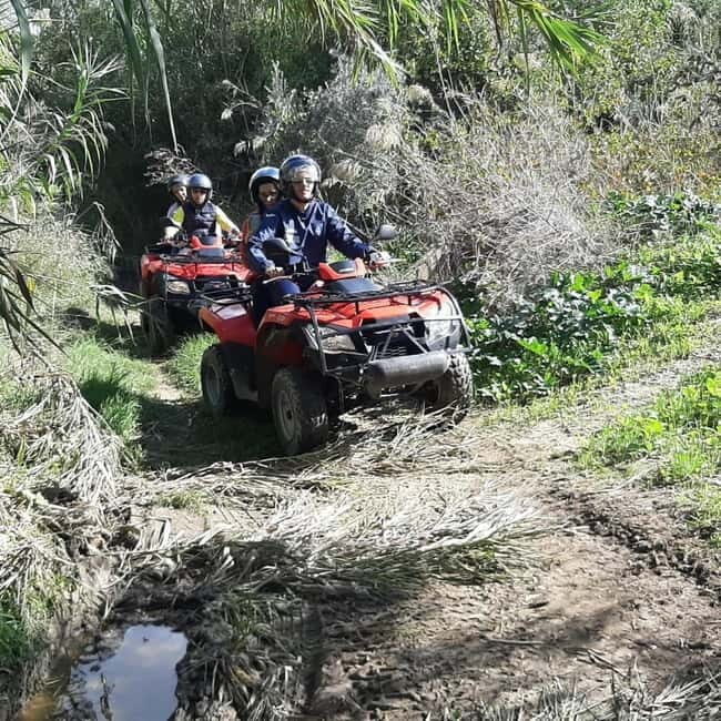 From Ribera: Quad Tour in the Province of Agrigento - The Experience and Feedback from Travelers
