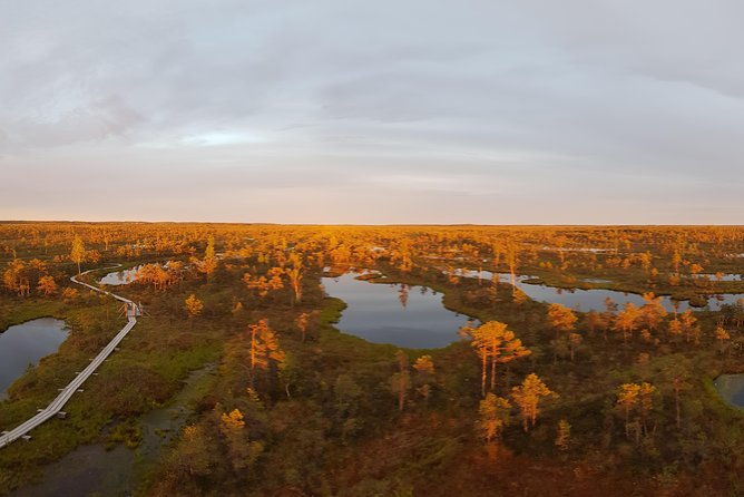 from-riga-best-of-kemeri-national-park-in-one-day