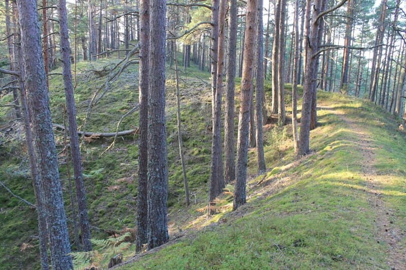 From Riga: Budget Day Trip to Kolka in Zen style! - What to Bring and Tips for the Day