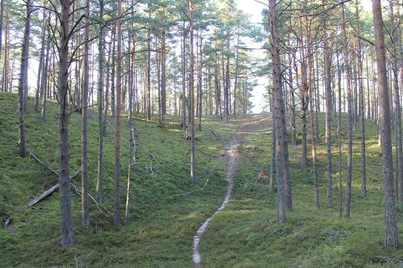 From Riga: Budget Day Trip to Kolka in Zen style! - The Sum Up